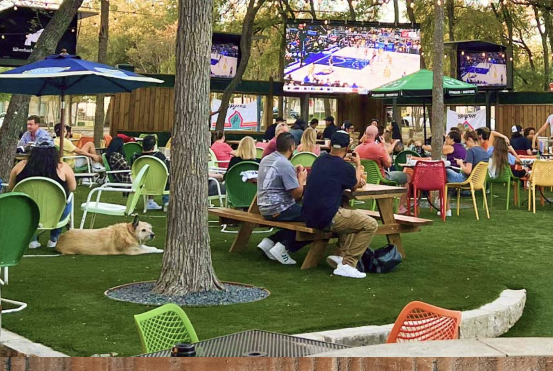 Little Woodrow's Southpark Meadows